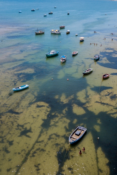 Estampa Marinha_12